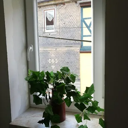Hainich Farm stay