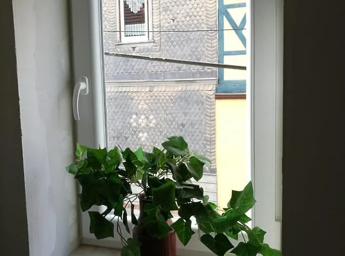 Hainich 팜스테이